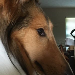 Meet your Posher, Pat